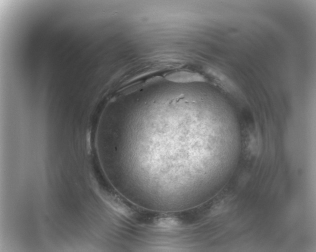 X0000068820262200605081153