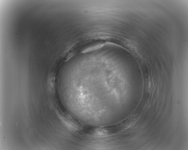 X0000068820263200605081153