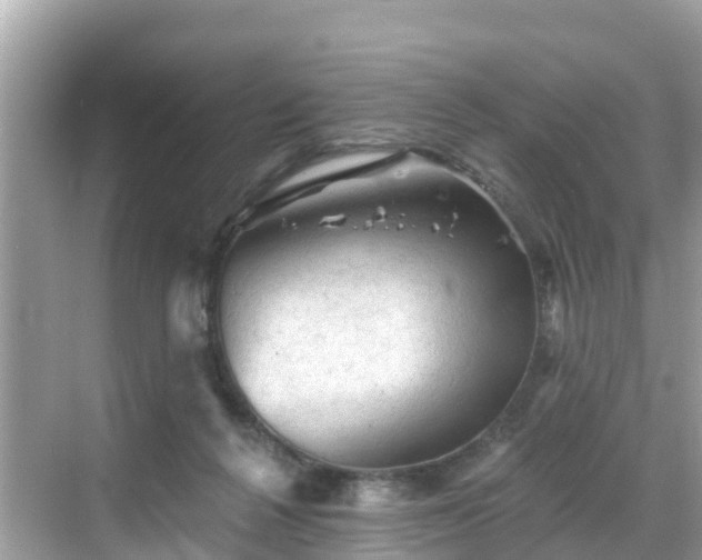 X0000068820264200605081153