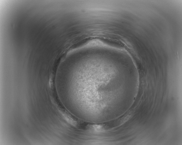 X0000068820265200605081153