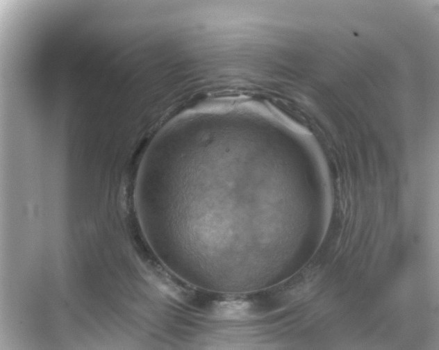 X0000068820266200605081153