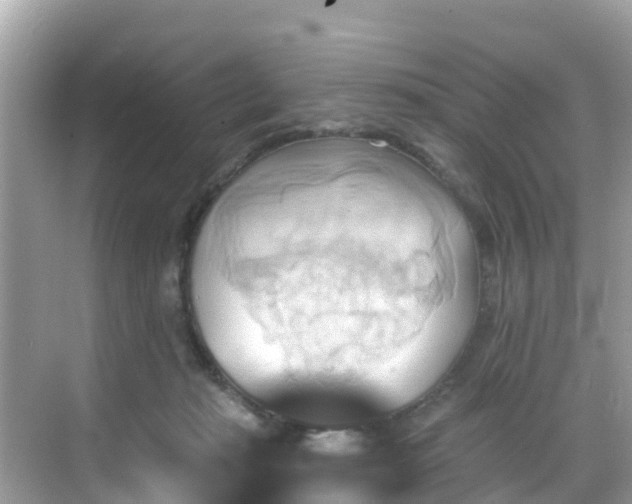 X0000068820269200605081153