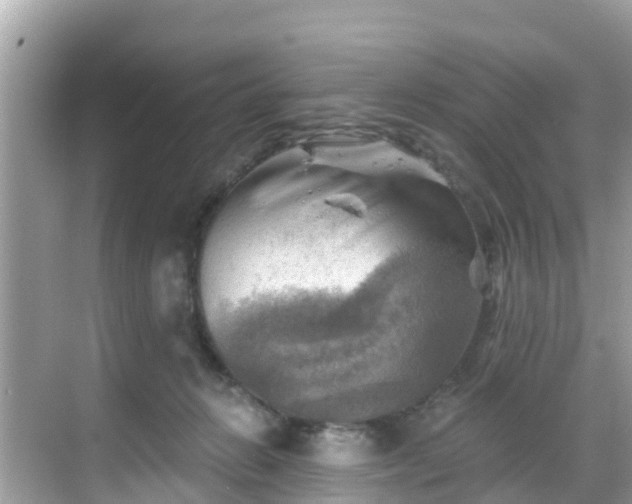 X0000068820270200605081153