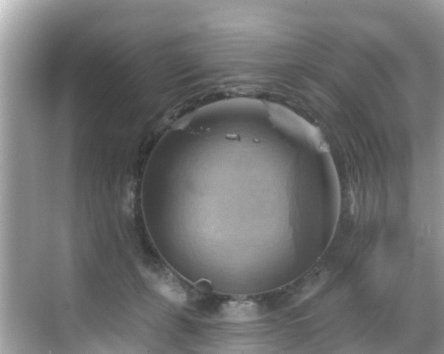 X0000068820271200605081153