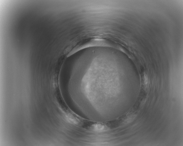 X0000068820272200605081153