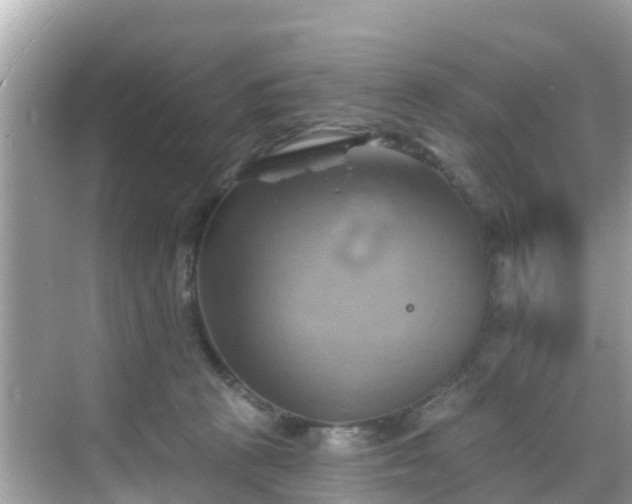 X0000068820273200605081153