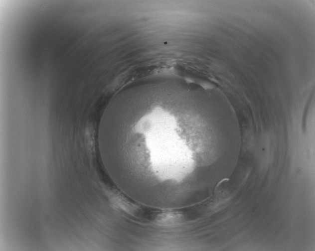 X0000068820274200605081153