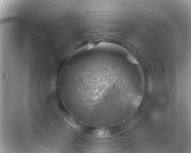 X0000068820275200605081153