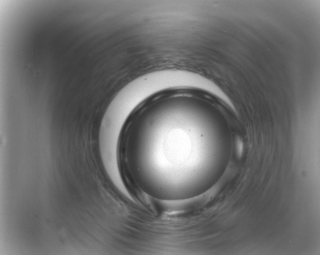 X0000068820276200605081153