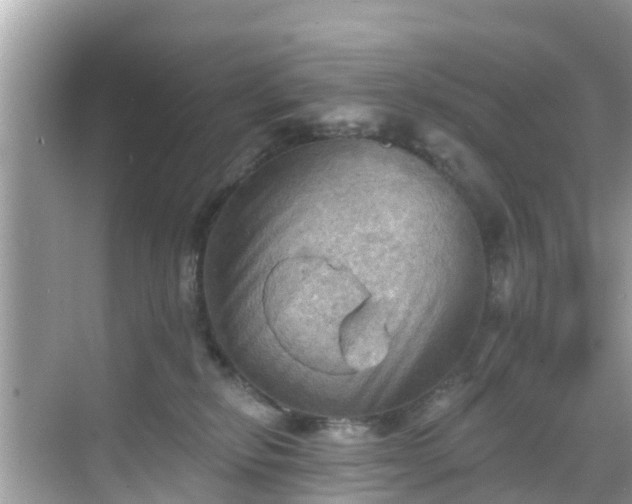 X0000068820278200605081153