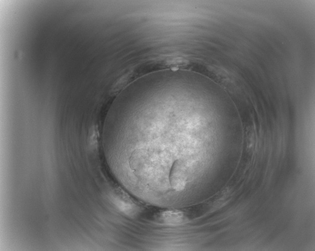 X0000068820279200605081153