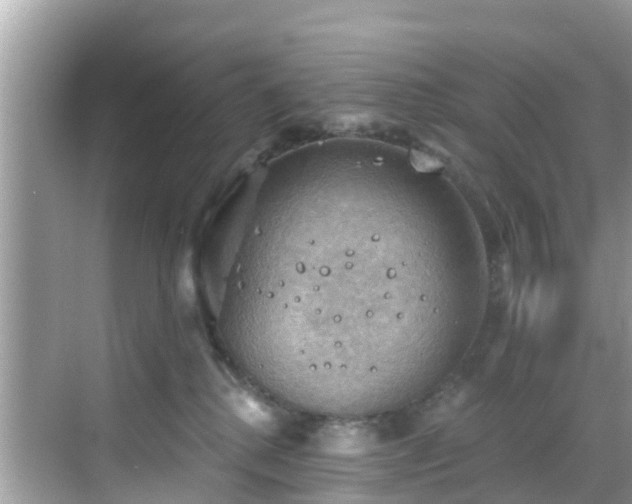 X0000068820280200605081153