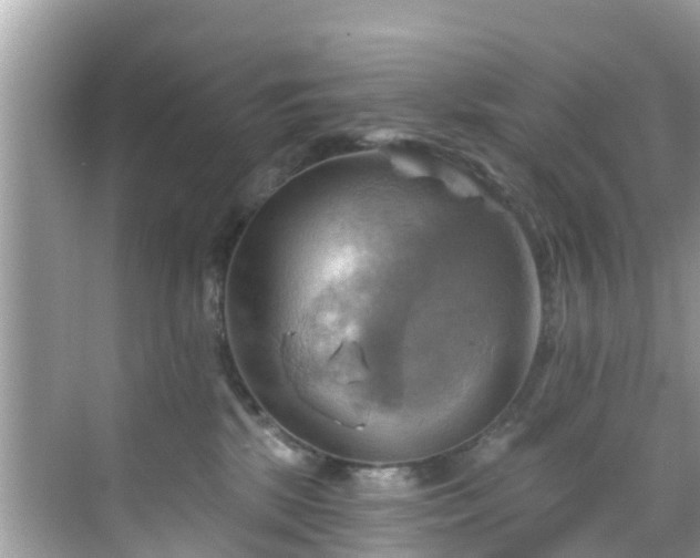 X0000068820281200605081153