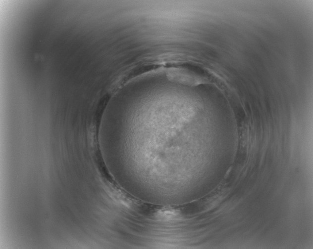 X0000068820283200605081153