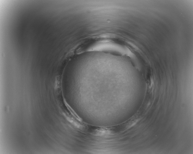 X0000068820284200605081153