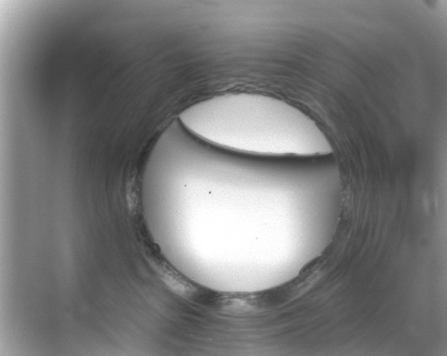 X0000068820285200605081153