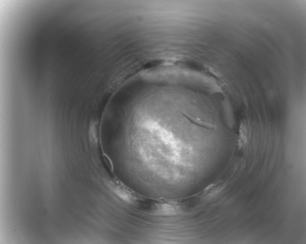 X0000068820286200605081153