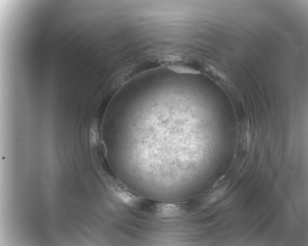 X0000068820287200605081153