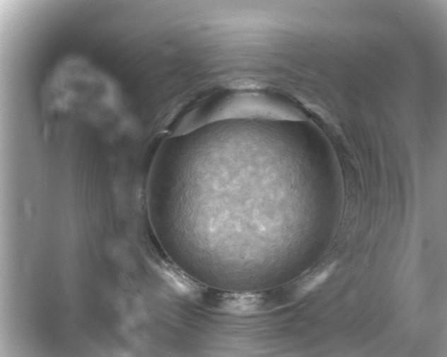 X0000068820288200605081153