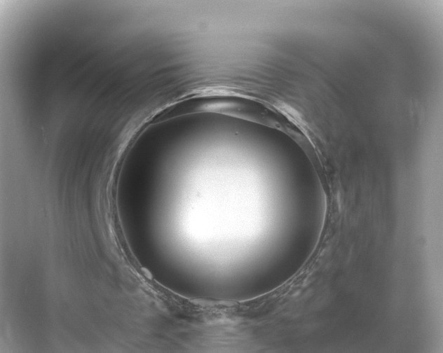 X0000068820289200605081152