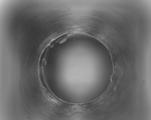 X0000068820290200605081152