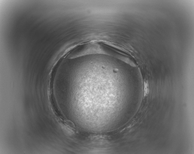 X0000068820291200605081152