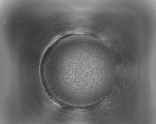 X0000068820292200605081152