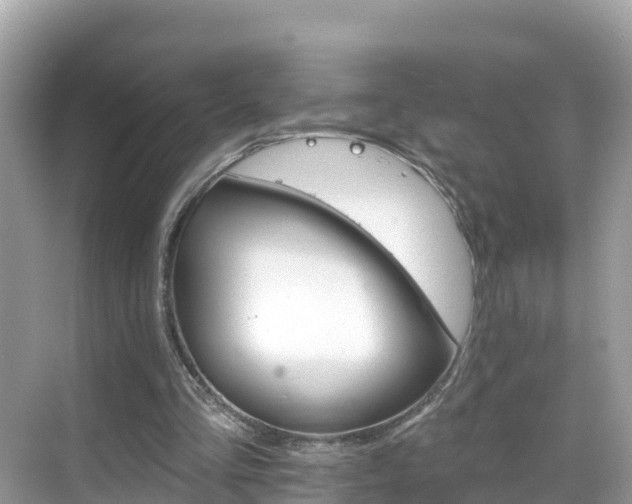 X0000068820293200605081152