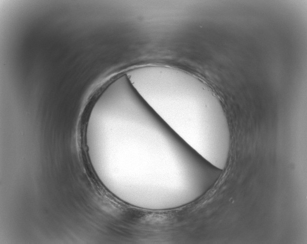 X0000068820294200605081152