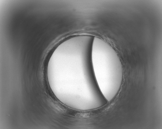 X0000068820295200605081152