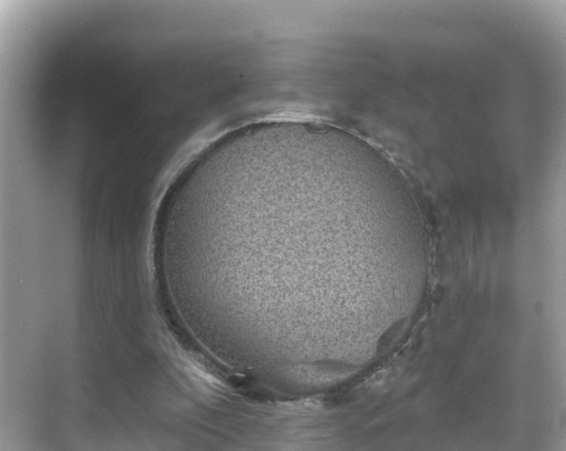 X0000068820296200605081152