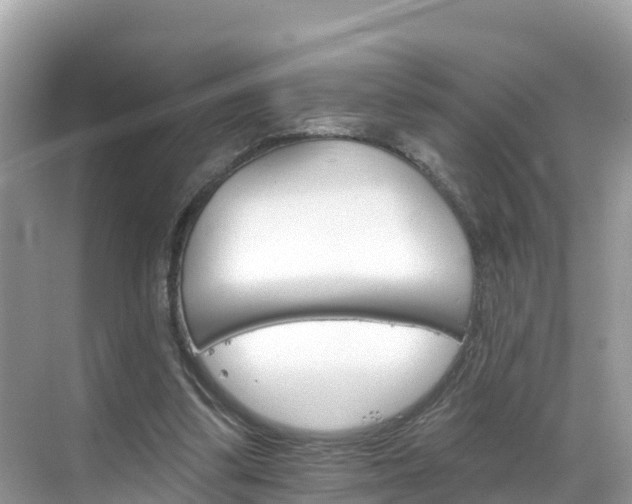 X0000068820299200605081152