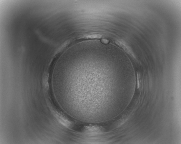 X0000068820300200605081152