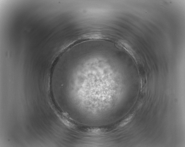 X0000068820301200605081152