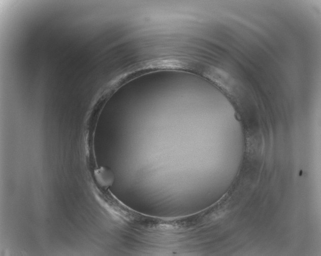 X0000068820302200605081152