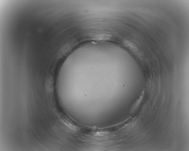 X0000068820303200605081152