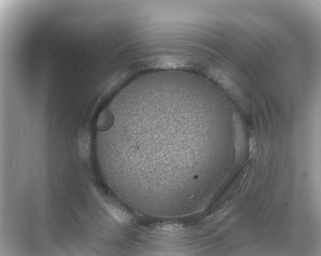 X0000068820304200605081152