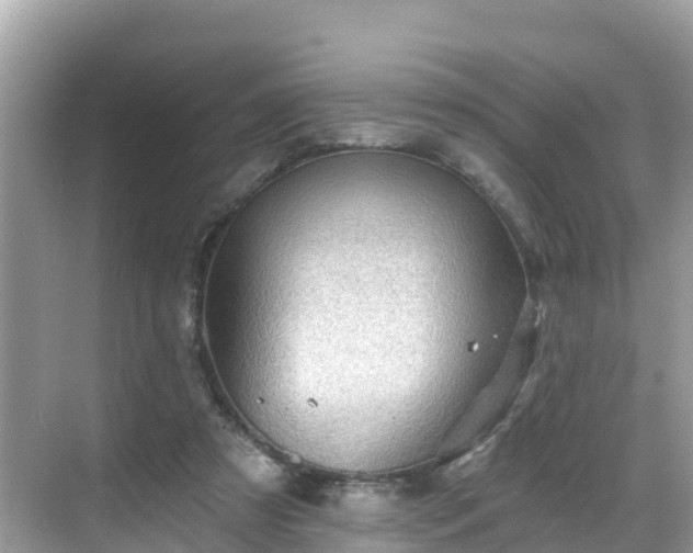 X0000068820305200605081152