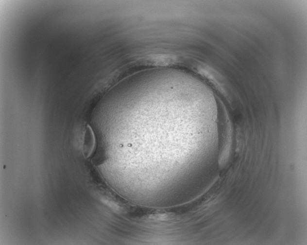 X0000068820307200605081152