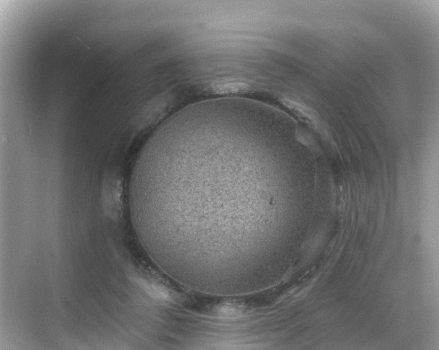 X0000068820308200605081152