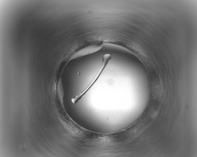 X0000068820310200605081152