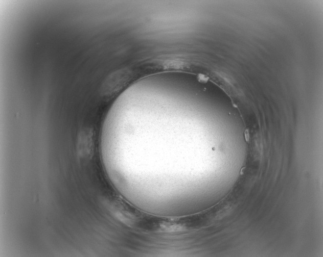 X0000068820311200605081152