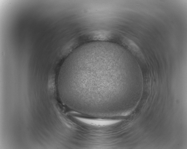 X0000068820312200605081152