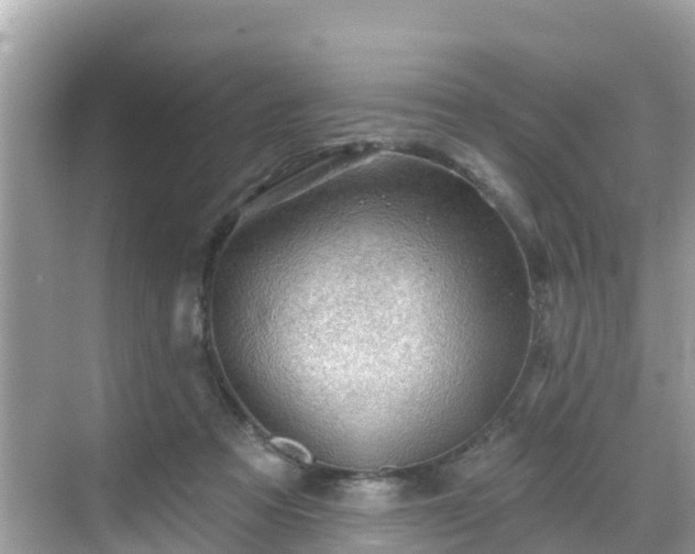 X0000068820313200605081152