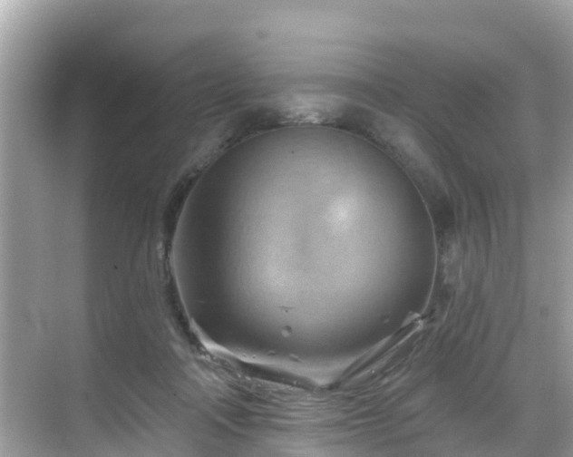 X0000068820314200605081152