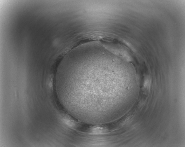 X0000068820315200605081152