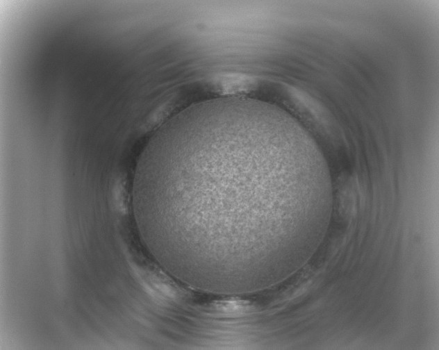 X0000068820316200605081152