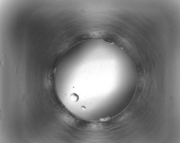 X0000068820317200605081152