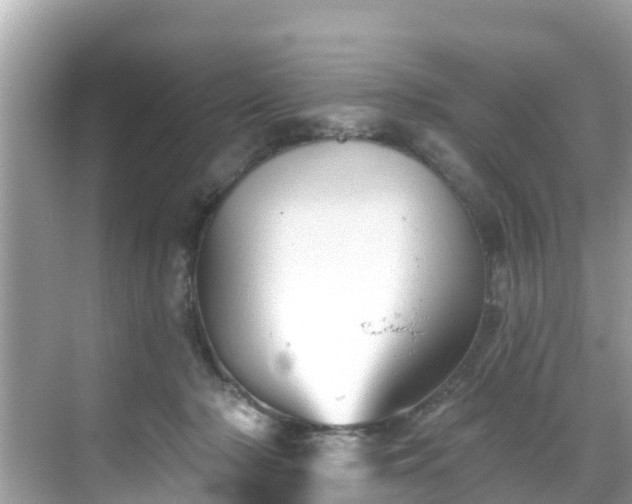 X0000068820318200605081152