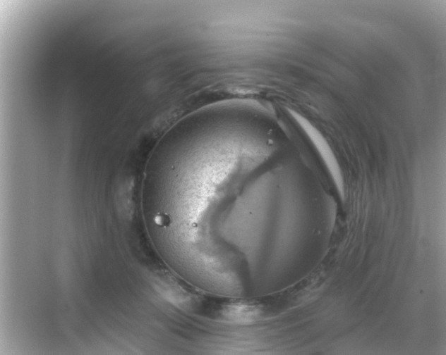 X0000068820319200605081152